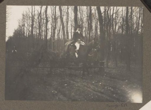Equestrian scene at the Royal Forestry Het Loo: rider taking an obstacle on a country road