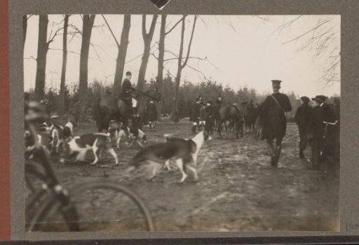 Equestrian scene at the Royal Forestry Het Loo: riders and a pack of hounds in a forest