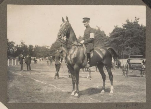 Equestrian scene at the Royal Forestry Het Loo: uniformed man on horseback on a lawn