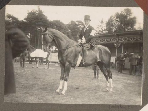 Equestrian scene at the Royal Forestry Het Loo: man on horseback on a lawn