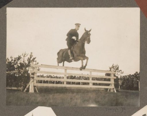 Equestrian scene at the Royal Forestry Het Loo: uniformed rider taking an obstacle on a racecourse