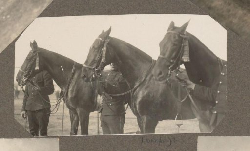 Equestrian scene at the Royal Forestry Het Loo: three saddled horses held by the bridle
