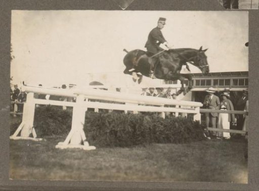 Equestrian scene at the Royal Forestry Het Loo: uniformed rider taking an obstacle on a racecourse