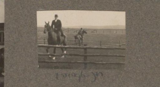 Equestrian scene at the Royal Forestry Het Loo: rider taking an obstacle