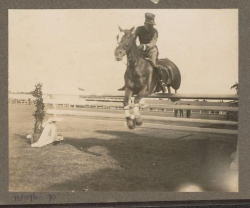Equestrian scene at the Royal Forestry Het Loo: uniformed rider taking an obstacle on a racecourse