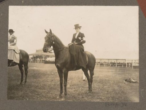 Equestrian scene at the Royal Gamekeeper's Lodge Het Loo: rider on horseback in side-saddle on a racecourse
