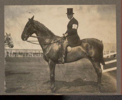 Equestrian scene at the Royal Gamekeeper's Lodge Het Loo: man on horseback on a racecourse
