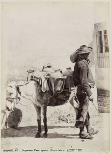 Water carrier with donkey in Córdoba