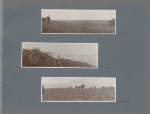 Cavalry in a field in France
