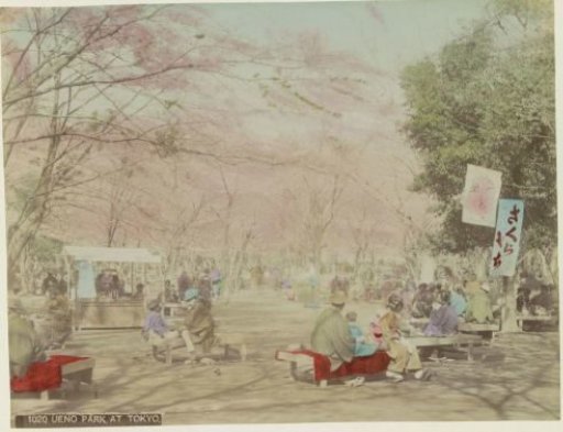 Ueno Park in Tokyo with people, blooming trees and a stall