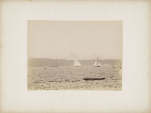 Rower in action, presumably in the waters of Sydney