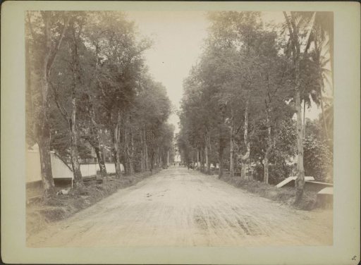 Avenue with the residence at the end in Semarang