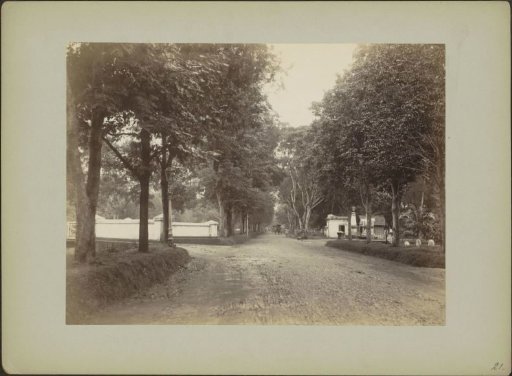 Tanah Abang Avenue with buildings on both sides in Batavia