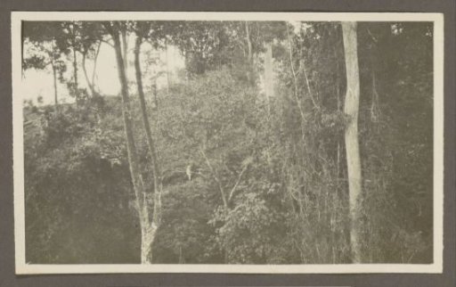 Man in tropical clothing on horseback on a mountainside