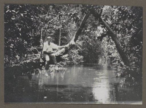 Man sitting on a tree branch above water