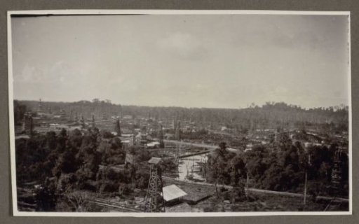 Overview of drilling towers and buildings amidst trees