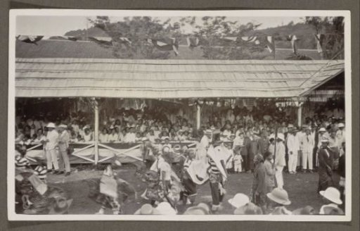 Participants in a parade before a tribune