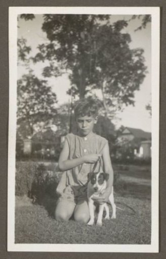 Kneeling boy with a dog in a garden