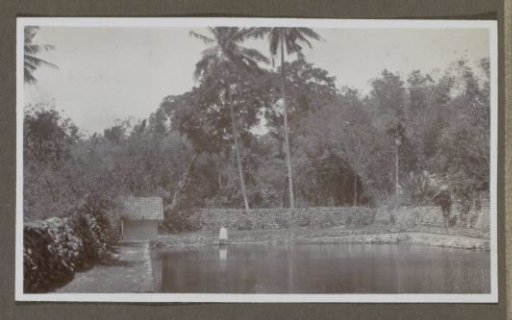 Walled pond in a wooded environment, presumably belonging to a hospitality establishment