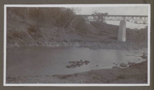 River with a bridge