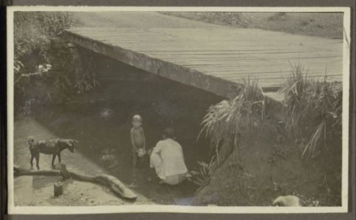 Woman, a child and a dog on the bank of a stream