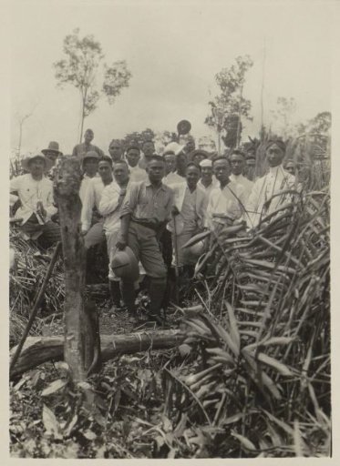 Officials posing among rice plants