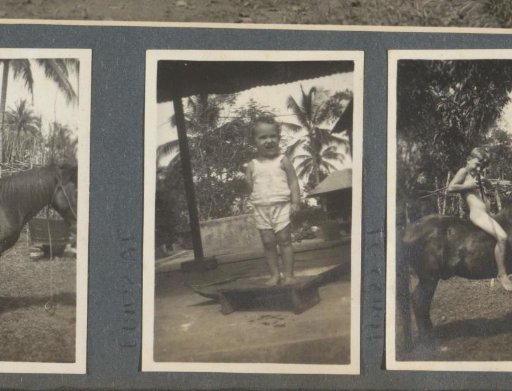 Small boy standing on a step in a garden in Sumatra, presumably a child of the Bergsma family