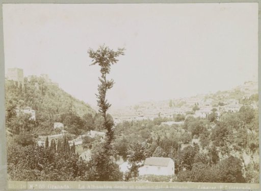View of the Alhambra from the Camino del Avellano