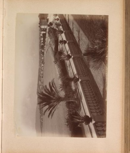 View of the Boulevard de la Croisette in Cannes