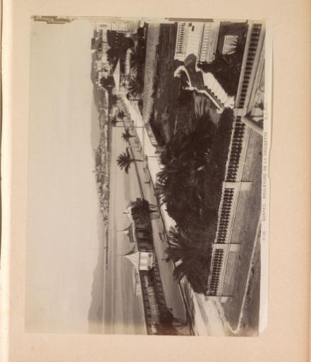 View of the Boulevard de la Croisette and front gardens of houses in Cannes