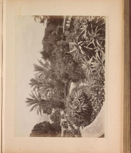 View of the gardens in Monte-Carlo