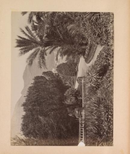 View of gardens in Monte-Carlo