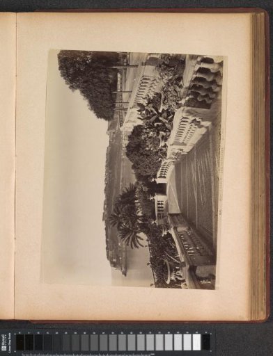 View of the terraces of Monaco