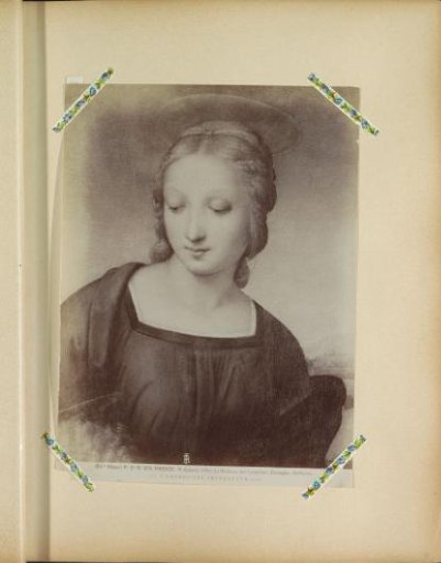 Photographic Reproduction of a Fragment of the Painting Madonna del Cardellino by Raphael