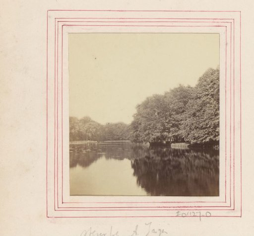 Pond in The Hague