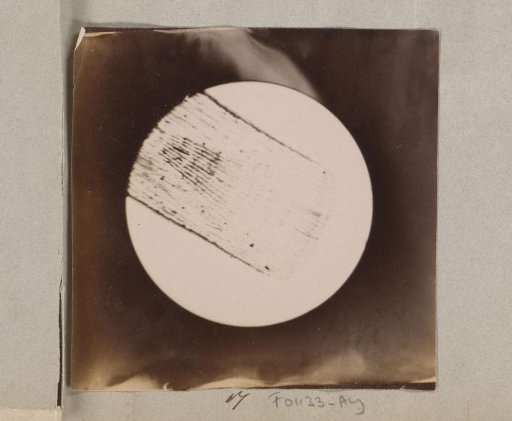 Microscopic image of a scale of a sole, magnified 25 times
