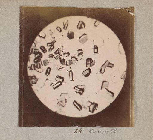 Micrograph of boric acid crystals, magnified 35 times