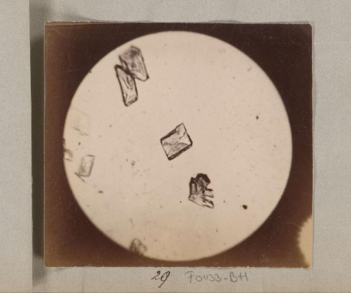 Micrograph of crystals, magnified 60 times