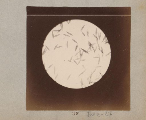 Micrograph of an unknown structure, magnified 25 times