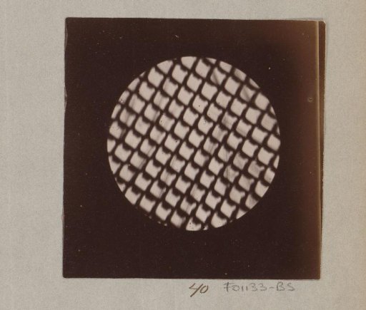 Micrograph of a fly's eye, magnified 170 times