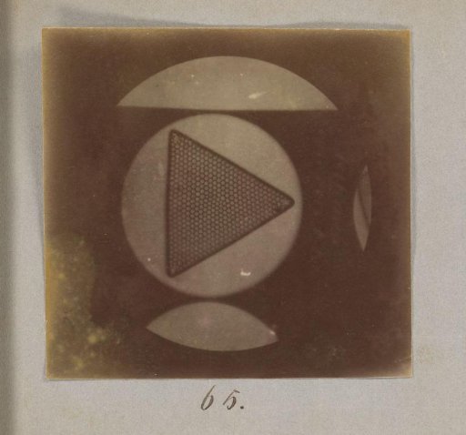 Microscopic view of Triceratium favus diatoms, magnified 190 times