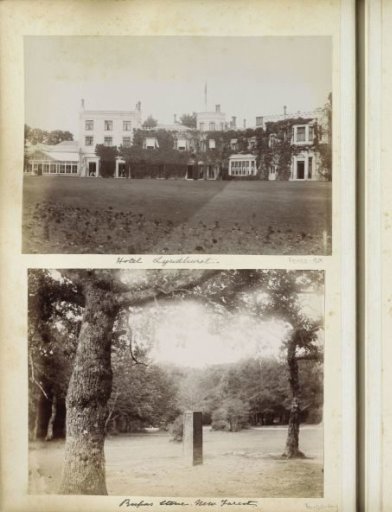 Hotel in Lyndhurst with a Lawn in Front