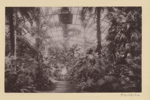 Interior of a Greenhouse in the Palm Garden of Frankfurt am Main
