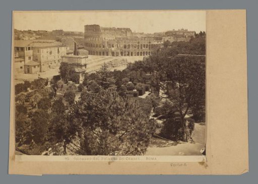 Colosseum seen from the Palazzo dei Cesari in Rome