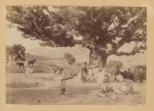 Group of people in Eastern dress under a tree, probably in the Mediterranean region