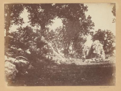 Landscape with rocks and trees, possibly in the Mediterranean region