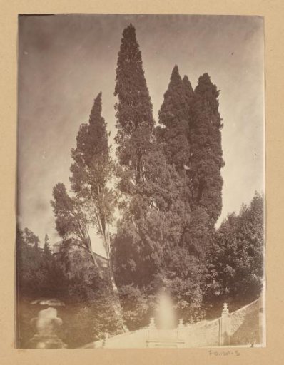 Staircase with cypresses, probably in a park in Italy