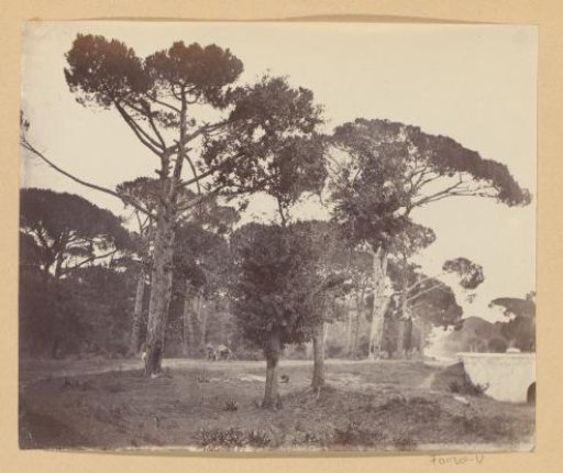 Man with cart in landscape with trees, probably in Italy