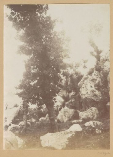 Two men with cows standing in front of the facade of a house, possibly in Spain