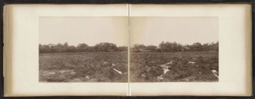 Fields belonging to the Raeburn and Spottiswoode Estates in Singapore